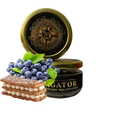 Табак Bagator blueberry millefleue (Черничный Мильфей, 50 г)