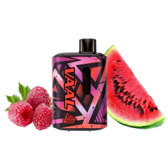 VAAL E5000 Lush raspberry (Арбуз Малина) Одноразовый POD