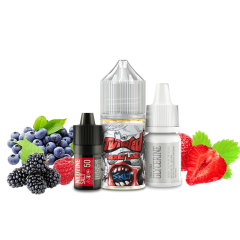 Набор для самозамеса Twisted salt Berryland (Берриленд, 50 мг, 30 мл)