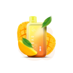 Elf Bar Raya D1 13000 Double Mango (Дабл Манго) Одноразовый POD