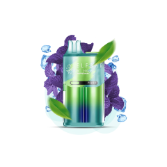 Elf Bar BC20000 Peppermint (Перечная Мята) Одноразовый POD