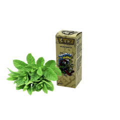 Жидкость Creepy Double Mint (Двойная Мята, 50 мг, 30 мл)