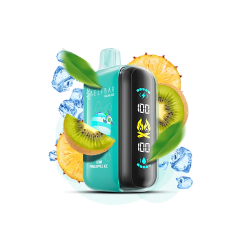 Elf Bar Raya D3 25000 Kiwi Pineapple Ice (Киви Ананас Лёд) Одноразовый POD