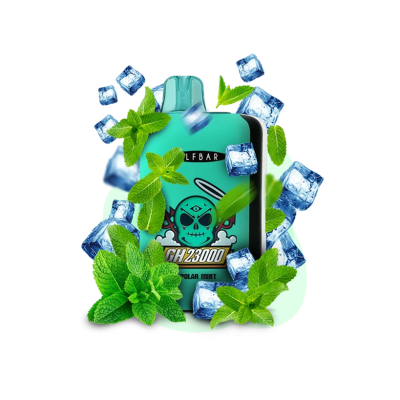 Elf Bar GH 23000 Alpine Mint (Мята) Одноразовый POD