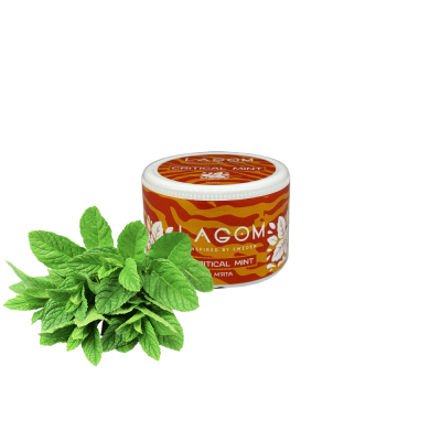 Табак Lagom Main Line Critical Mint (Мята, 40 г)