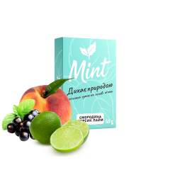 Кальянна суміш Mint Смородина Персик Лайм (50 г)