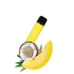 Elf Bar 1500 Coconut Melon (Кокос И Дыня) Одноразовый POD