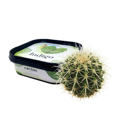 Кальянная чайная смесь Indigo Smoke Cactus (Кактус, 100 г)