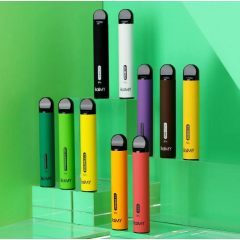 ТОП одноразовых электронных сигарет и их бренды