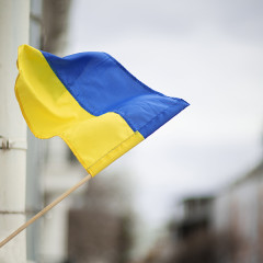 [ЗАВЕРШЕНО] Скидка на весь ассортимент -10% в честь Дня Независимости!