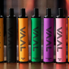 Про линейки электронок производителя VAAL  