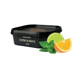 Табак Bagator Citrus Mint (Цитрус Мята, 200 г) Табак Bagator Citrus Mint (Цитрус Мята, 200 г)