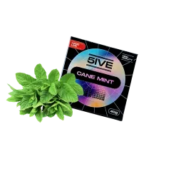 Тютюн 5ive hard line Cane mint (Тростникова м'ята, 40 г) Тютюн 5ive hard line Cane mint (Тростникова м'ята, 40 г)
