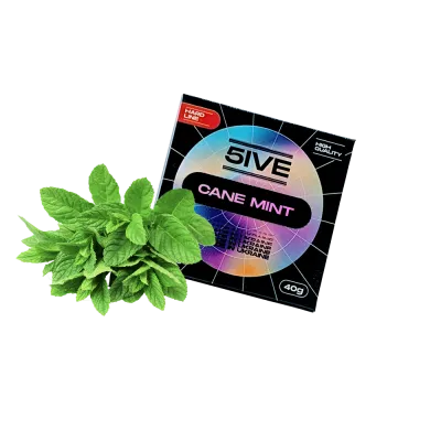 Тютюн 5ive hard line Cane mint (Тростникова м'ята, 40 г)