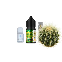 Набір для самозамішування In Bottle Puzzle Cactus (Кактус, 50 ​​мг, 30 мл)