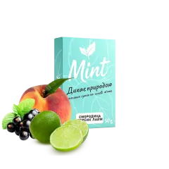 Кальянна суміш Mint Смородина Персик Лайм (50 г)