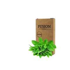Табак Fusion Medium Mint (Мята, 100 г)