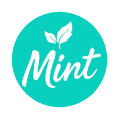 Смесь Mint