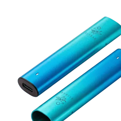 Elf Bar Mate 500 Green (Зелений, без картриджа) Багаторазовий POD
